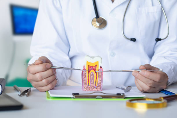 Best After-Hours Dental Trauma Care in Grantsburg, WI